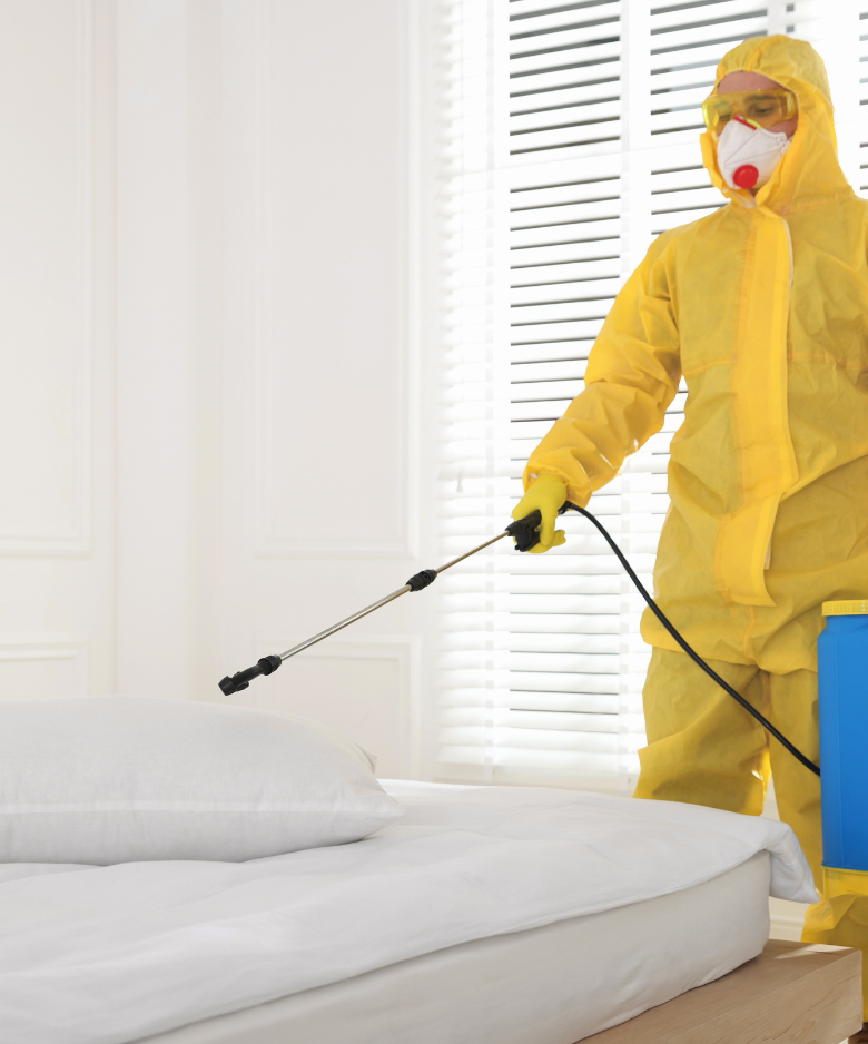 Professional Pest Control Team in Rostrevor Hills side